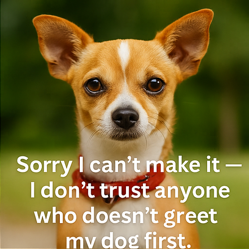 ChatGPT Image Sep 2, 2025, 08 29 03 AM 002.png