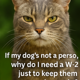 ChatGPT Image Sep 2, 2025, 08 29 07 AM 002