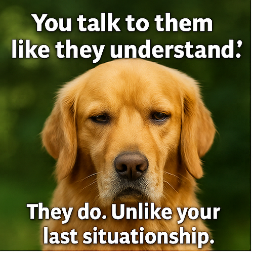 ChatGPT Image Sep 2, 2025, 08 29 19 AM 001.png