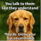 ChatGPT Image Sep 2, 2025, 08 29 19 AM 001