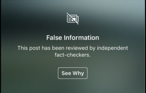 false information.jpg