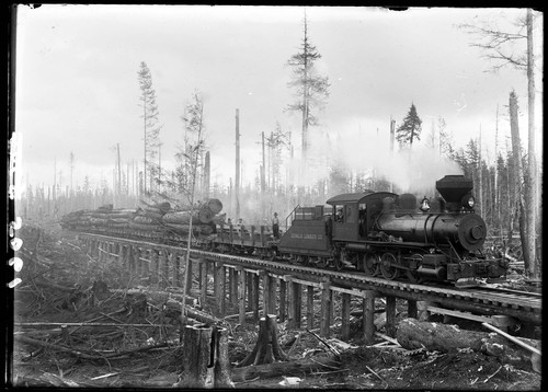 Copalis Lumber Co G0363 1 copy.jpg