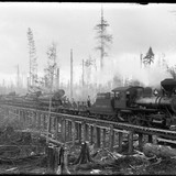 Copalis Lumber Co G0363 1 copy