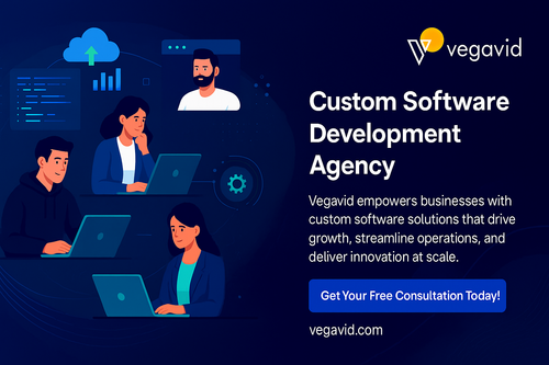 Custom Software Development Agency.png