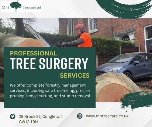 Stronger, Safer, Healthier Trees – Expert Care You Can Trust.1