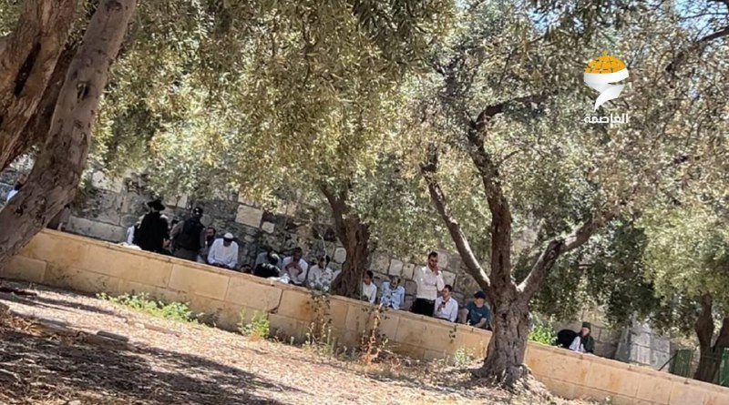 مجموعات المستوطنين برفقة قوات الاحتلال تقتحم المسجد الأقصى المبارك....