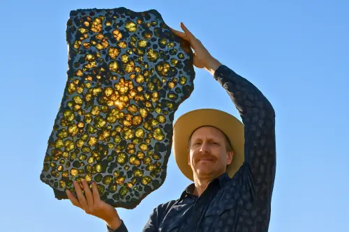 Fukang meteorite.webp