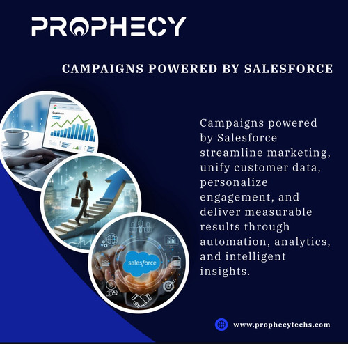 WhatsApp Image 2025 09 02 at 12.50.38 PM.jpg