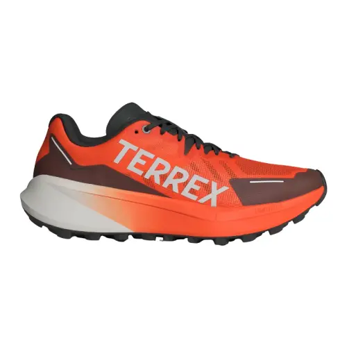 Adidas Terrex Agravic 3.webp