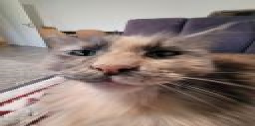 aaaaa.png