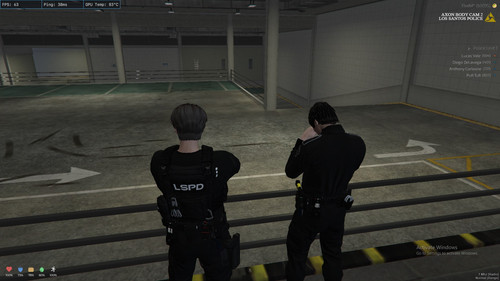 FiveM GTAProcess eBD5hQRJw0.jpg