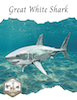 FTL Great White Shark.png
