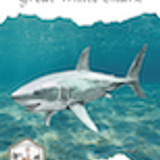 FTL Great White Shark