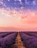 FTL Homeschool Planner 2025 2026 Lavender Sunset.png