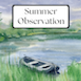 FTL Summer Journal Lake