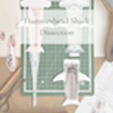 FTL Hammerhead Shark Dissection