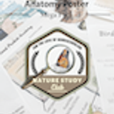 FTL Anatomy Poster Mega Pack