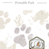 FTL Pet Vet Printable Pack