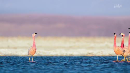 20251025 152409 548719.png