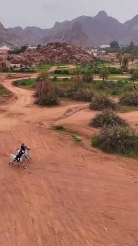 917FXxO413RRC Sd.jpg