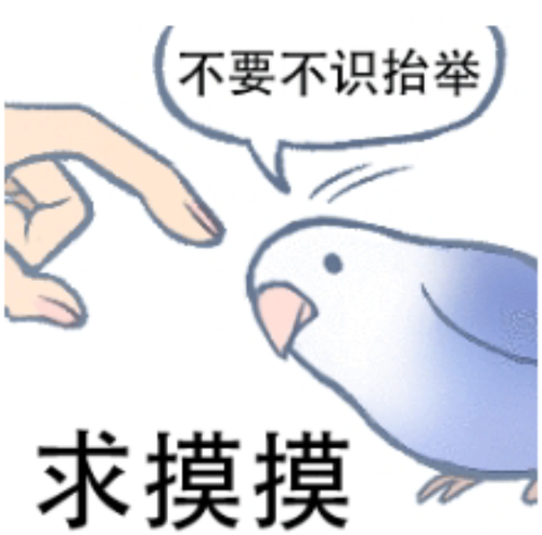 Screenshot 2025 1025 155321.png
