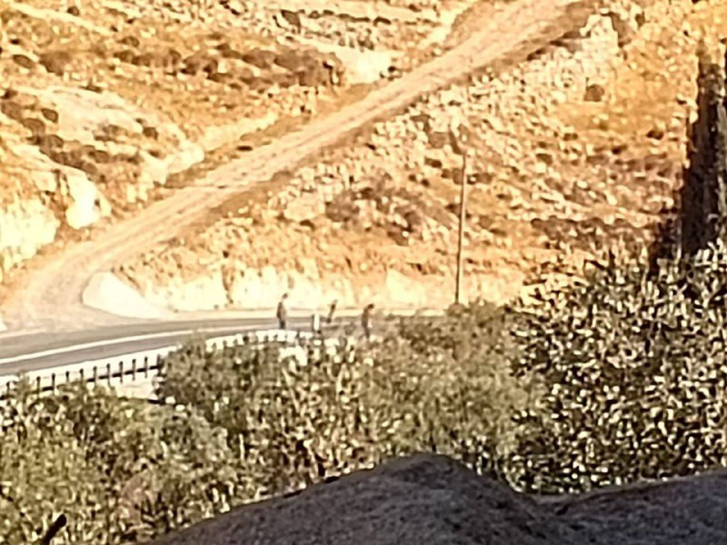 قوات الاحتلال الإسرائيلي تمنع المواطنين من الوصول لأراضيهم في أكثر من منطقة بمحافظات الضفة الغربية وأطلقت قنابل الغاز اتجاههم في عدة مناطق....