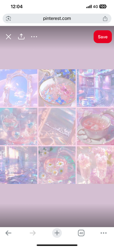 IMG 9525.png