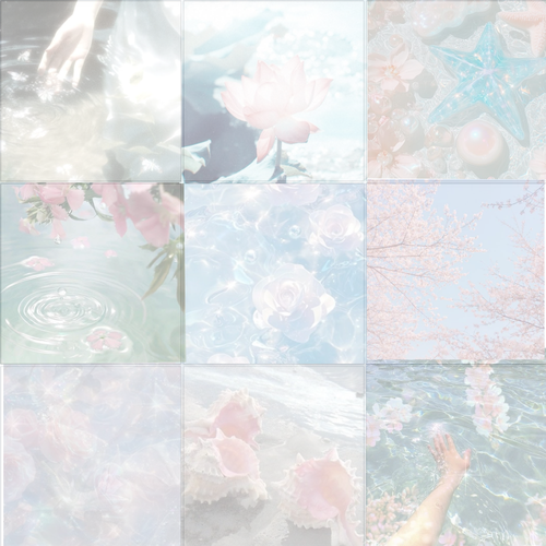 IMG 9531.png