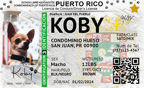licenciasdeconducir koby (promo).jpg