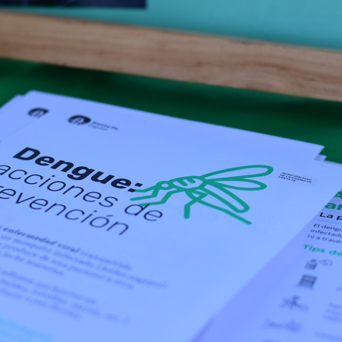 Dengue: se confirmó la presencia del vector en 16 barrios de la ciudad