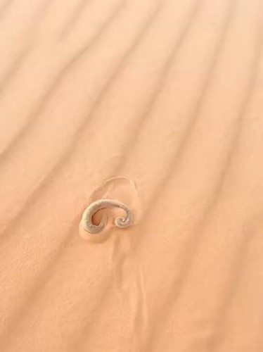 X8SG1xQlvF6skDQl.jpg