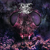 Clouds of file Clouds of File