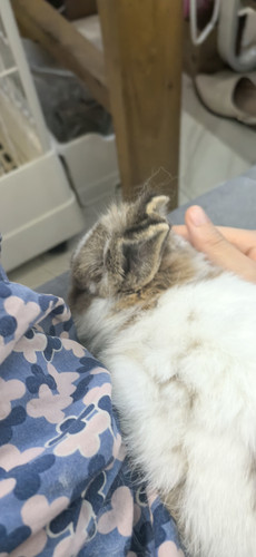 IMG 20251025 175851.jpg