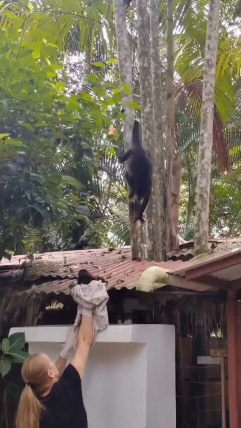 i6RURU8i VeefysJ.jpg