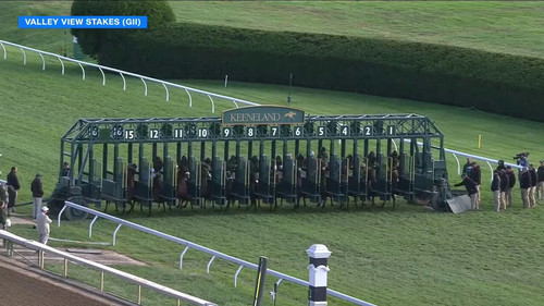 3 nF1VE78j5Fqq L.jpg