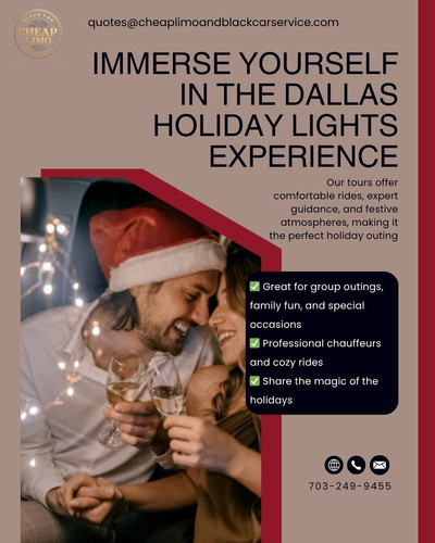 Dallas Holiday Lights Experience.jpg