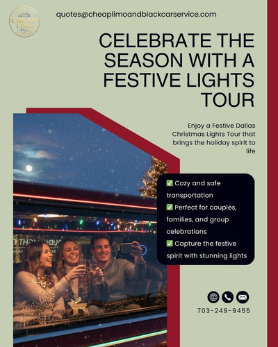 Festive Dallas Christmas Lights Tour.jpg