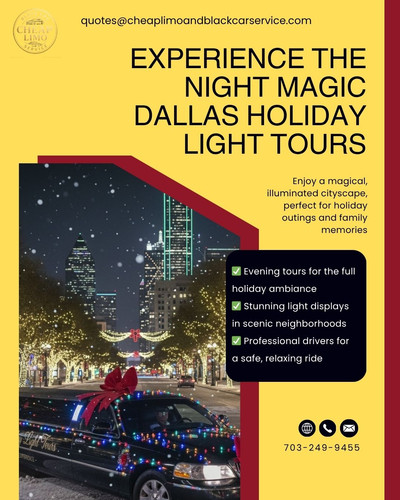 Dallas Night Holiday Light Tours.jpg