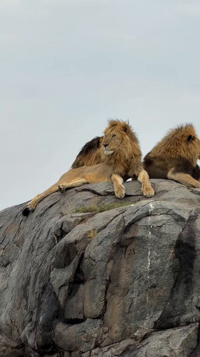 uG8K8 JABSZPbKr4.jpg