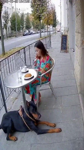 M6CXfvV1DHyT Eax.jpg