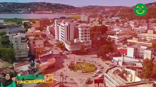 HylP YJ50g PxRoi.jpg