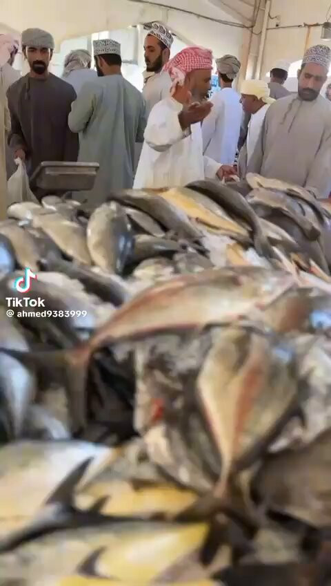 j2 MEB4NaWEWlLb .jpg