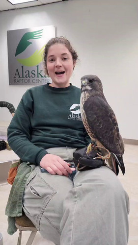 CaFCCNy ASLsr0dT.jpg