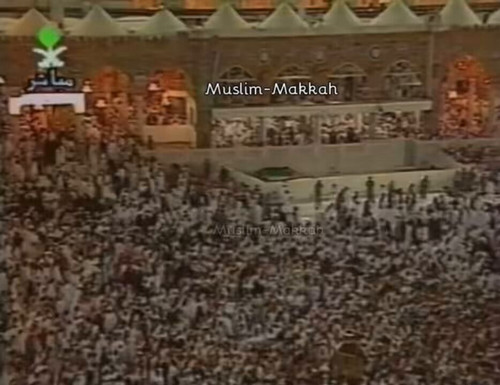 vbM0djgaE3 l5dtw.jpg