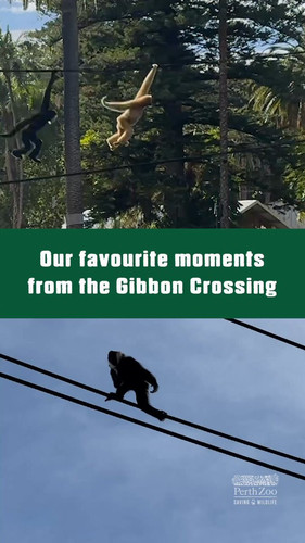 jj JHWXuEclJYgAk.jpg