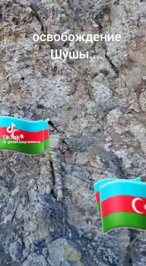 TUe9D1 XBZhyTePX.jpg