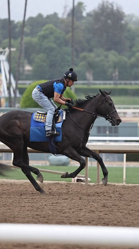 pnldAH V3MtWM4b6.jpg