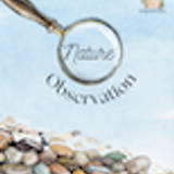 FTL Nature Journal River Rock