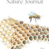 FTL Nature Journal Bee Honeycomb