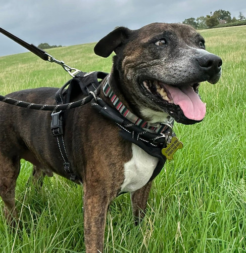 G4AgU 9W4AAOhkZ.jpg